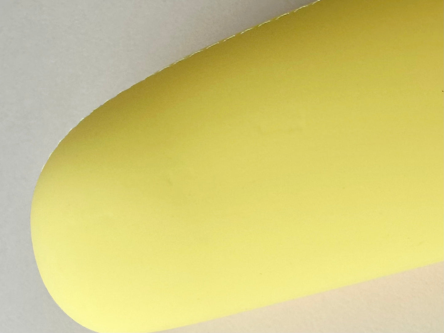 OUTLET Pen Case Pouch Bigsize Kylling