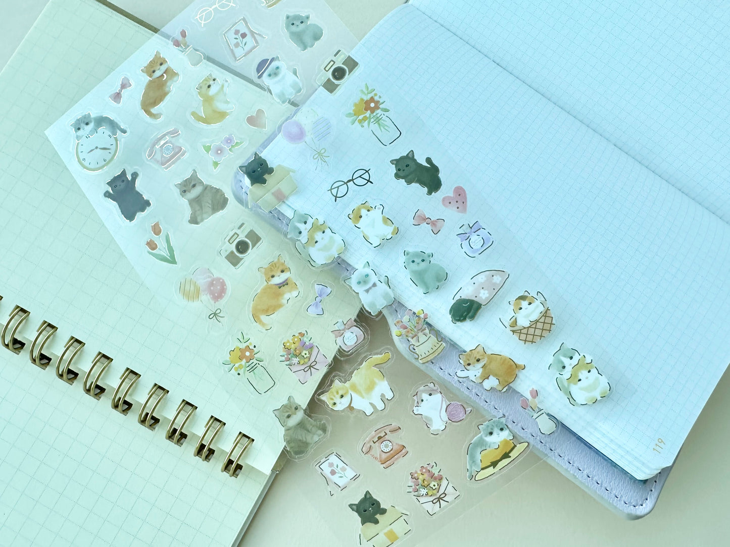 Klistermerker Room and Kitten