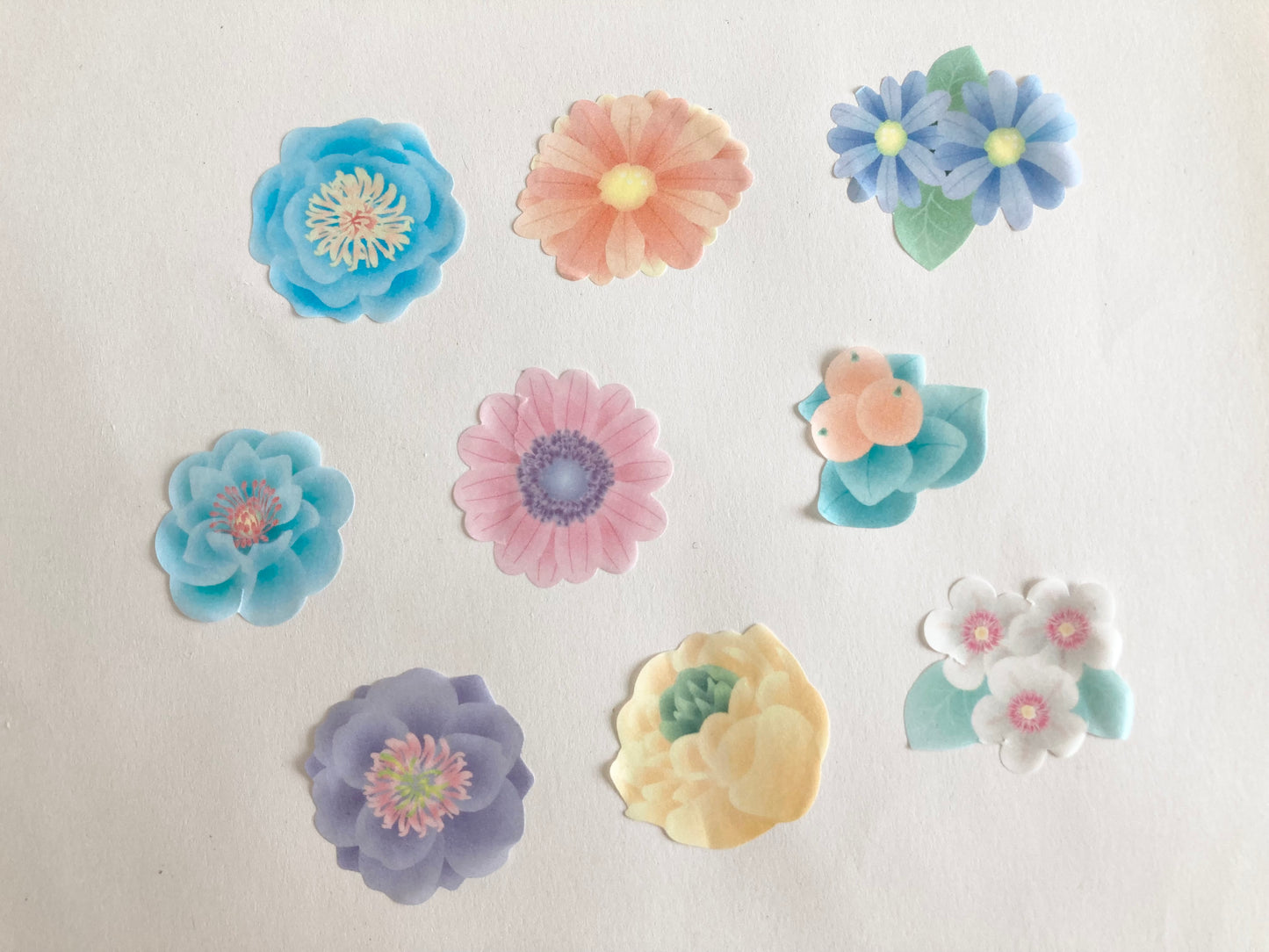 Washi Roll Sticker Dreaming Flower