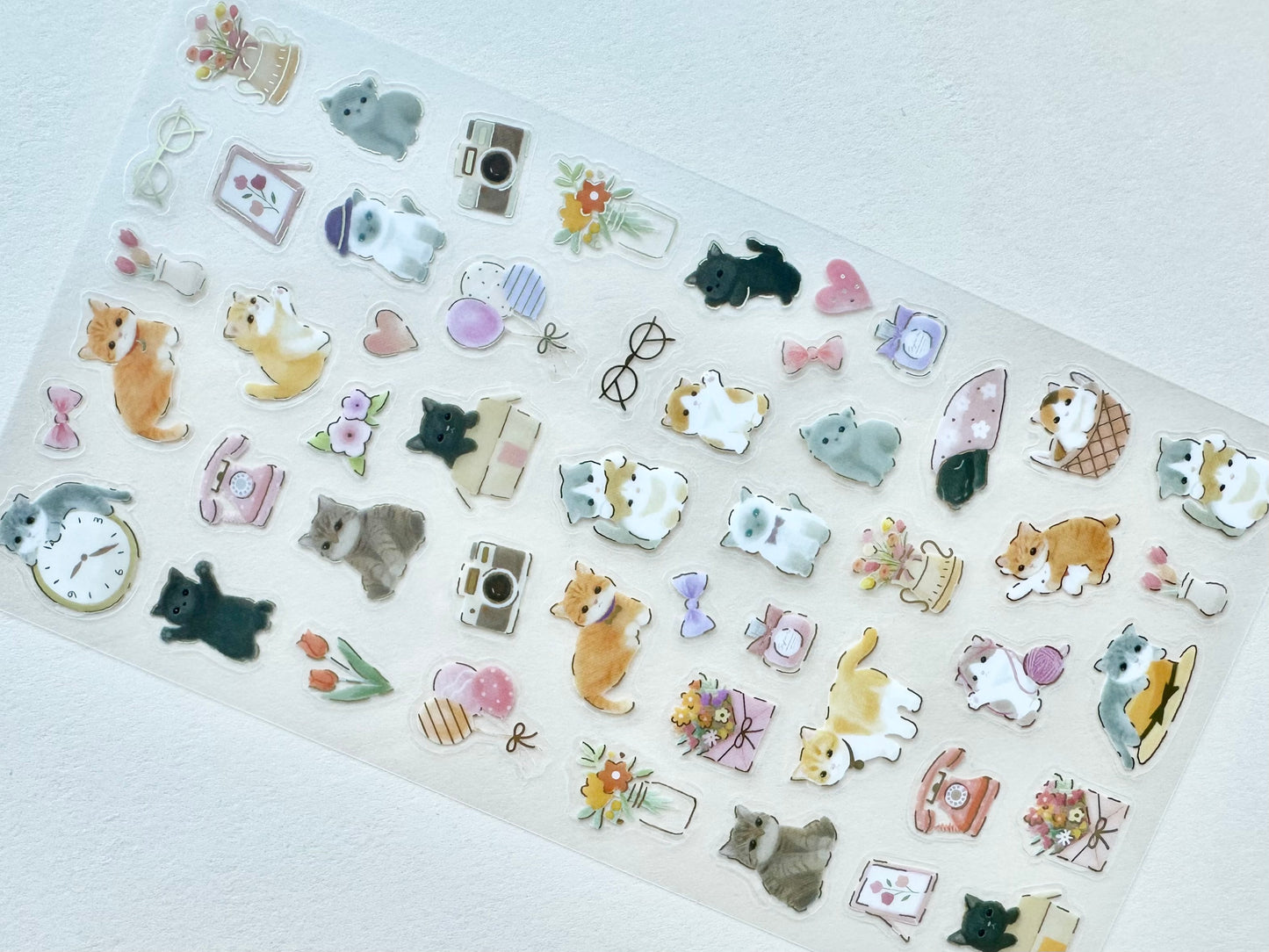 Klistermerker Room and Kitten