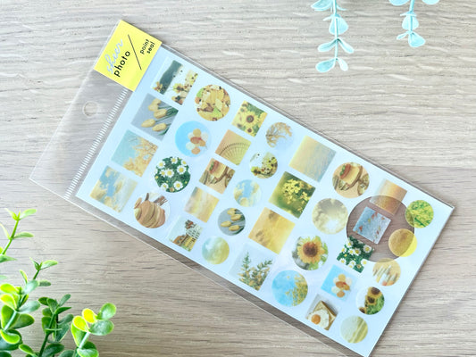Sheer Photo Point Stickers Yellow