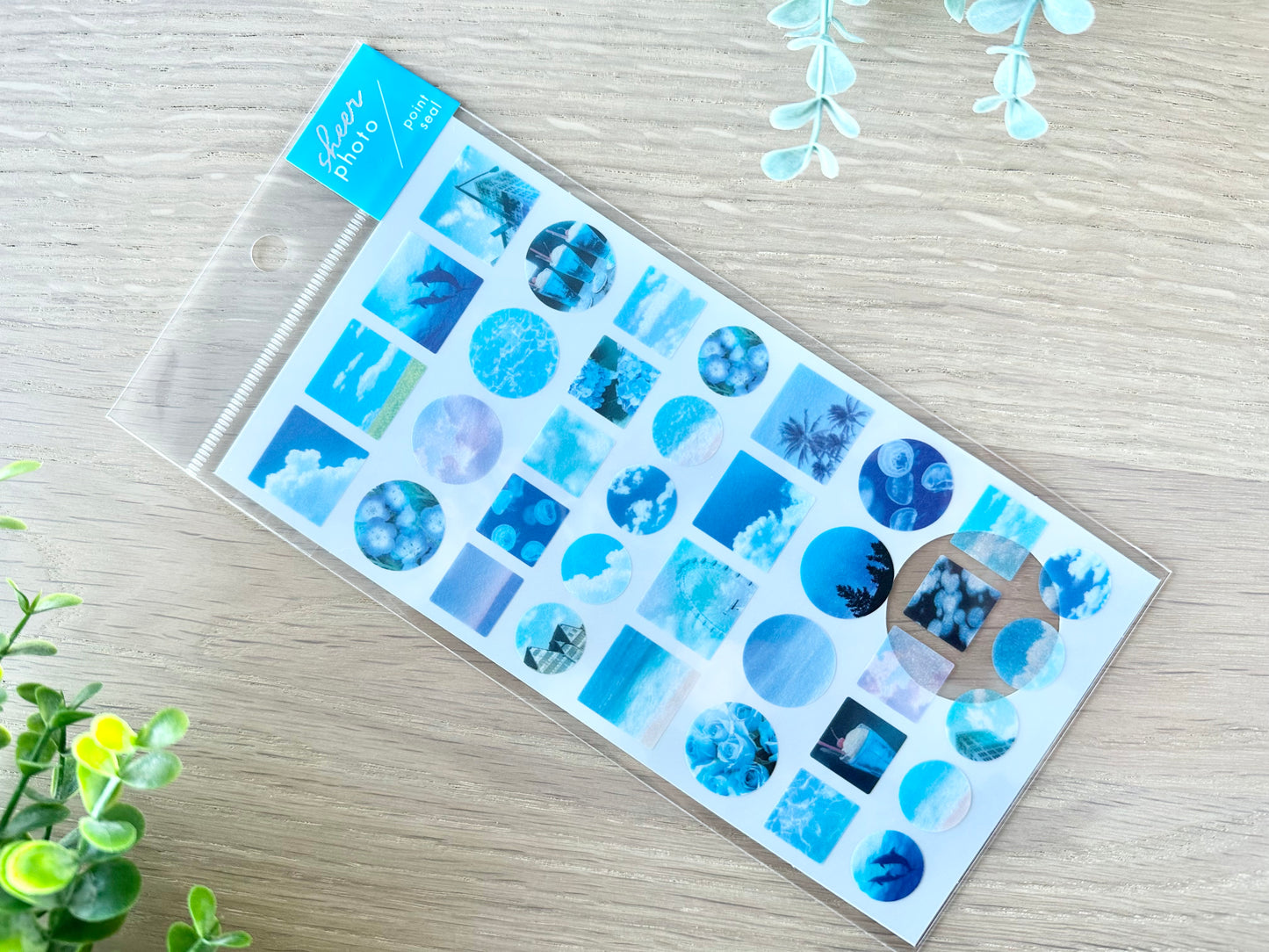 Sheer Photo Point Stickers Blue