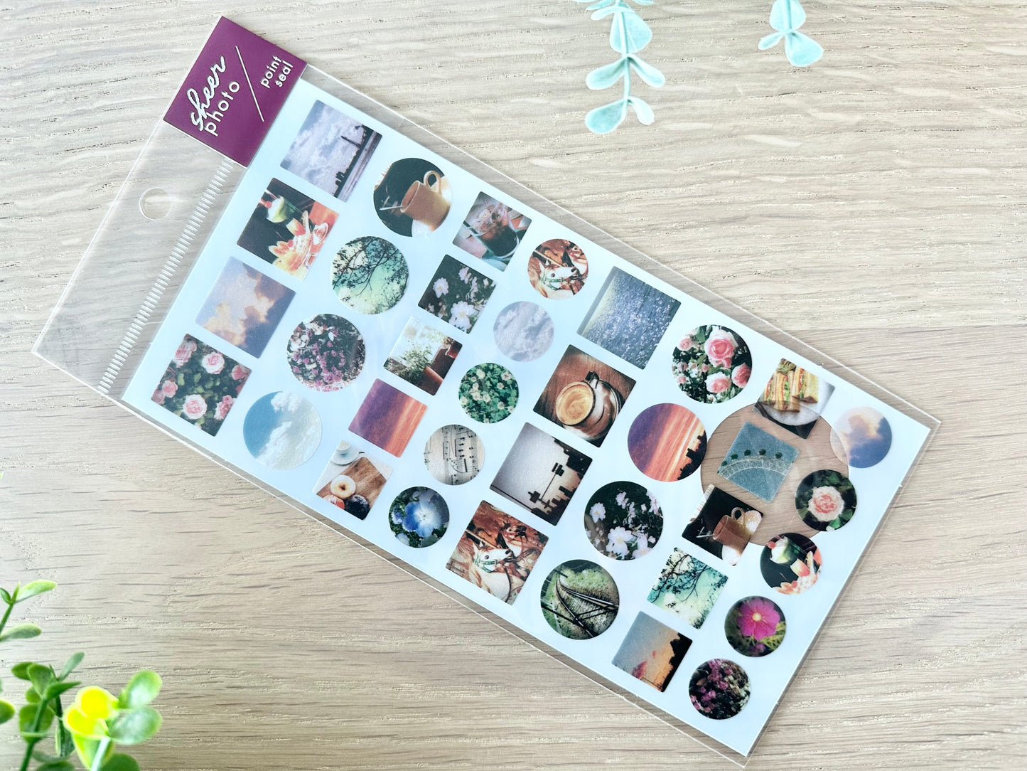Sheer Photo Point Stickers Retro