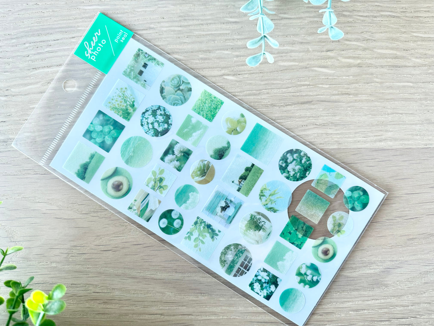 Sheer Photo Point Stickers Green