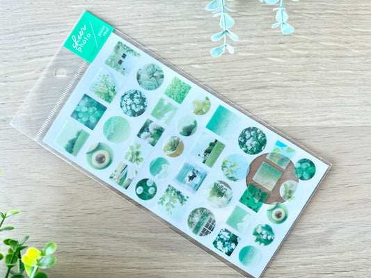 Sheer Photo Point Stickers Green