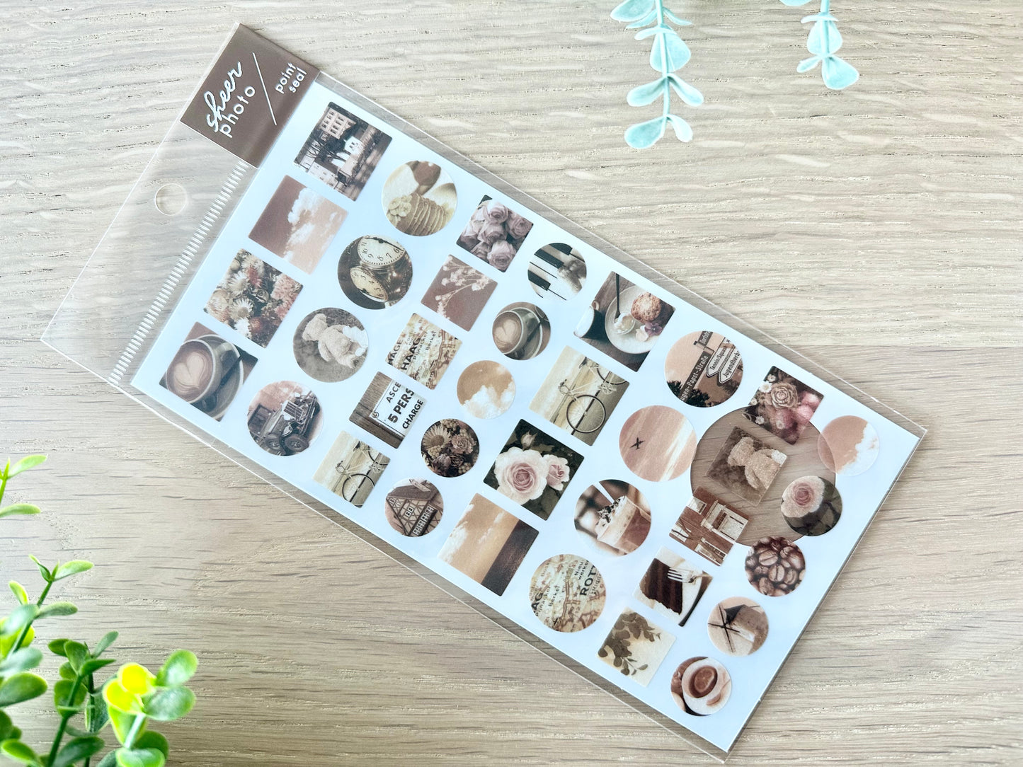 Sheer Photo Point Stickers Brown