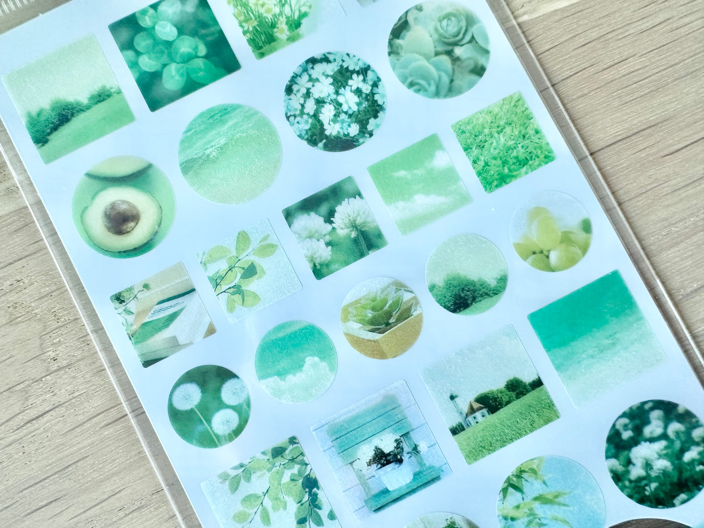 Sheer Photo Point Stickers Green