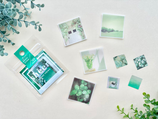 Sheer Photo Stickers Green