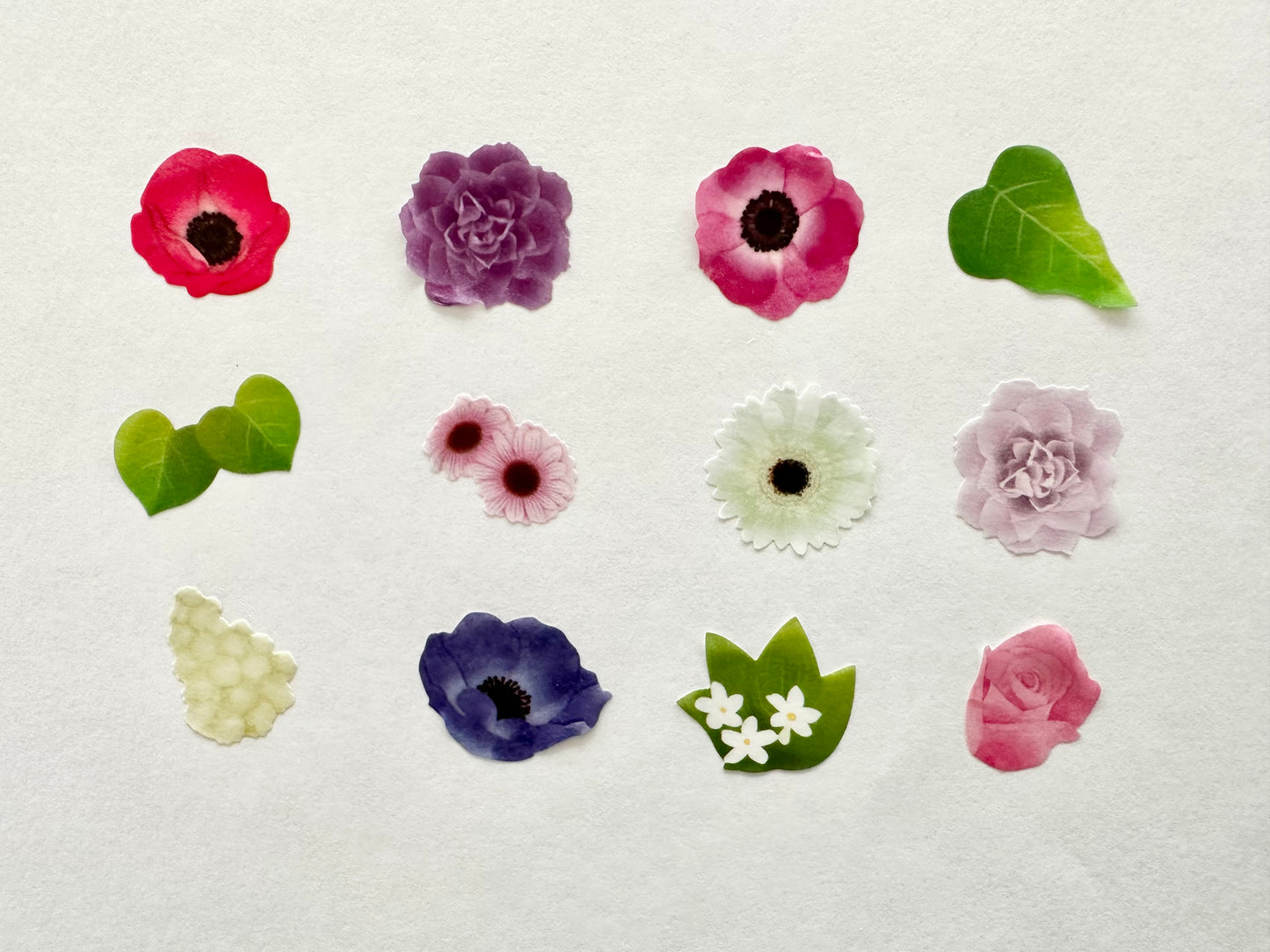Washi Roll Sticker Anemone Bouquet