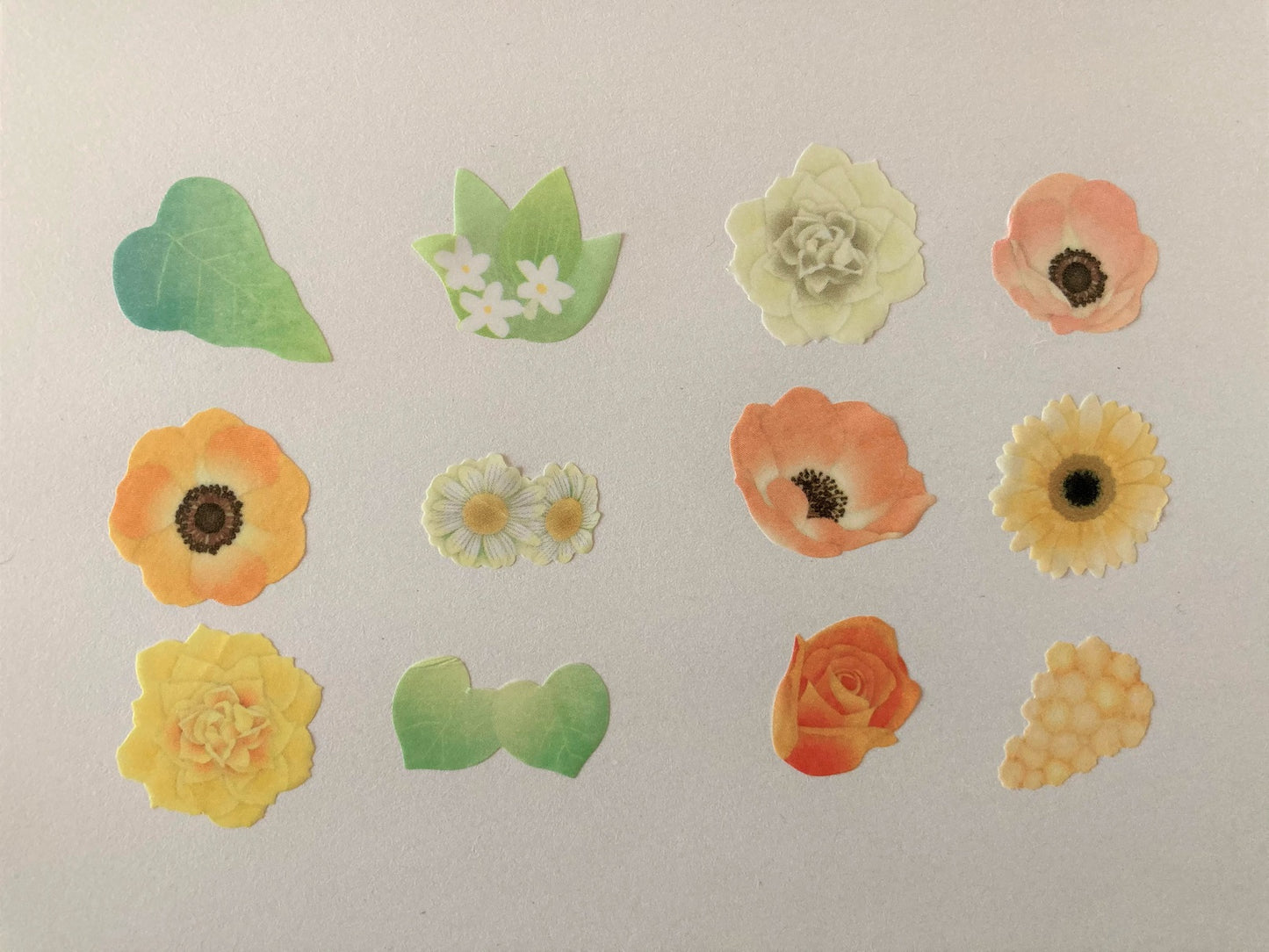 Washi Roll Sticker Anemone