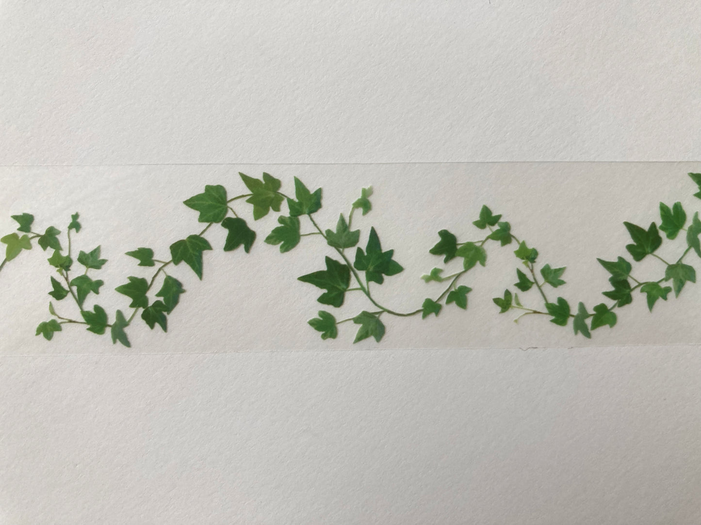 Cleartape 30mm Ivy